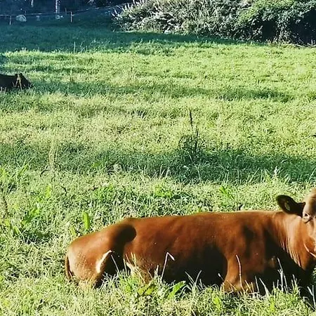 Pa Bondegard, Med Batutleie * Namsos