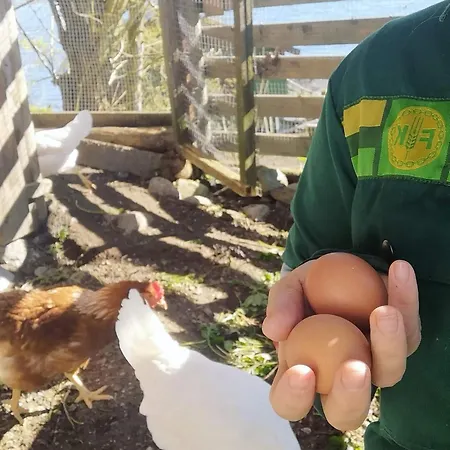 Pa Bondegard, Med Batutleie Namsos
