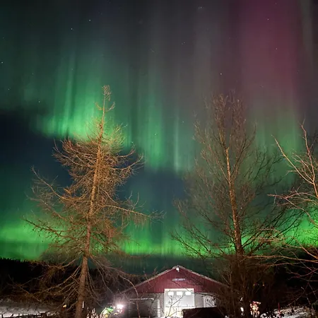 Semesterbostad Pa Bondegard, Med Batutleie Namsos