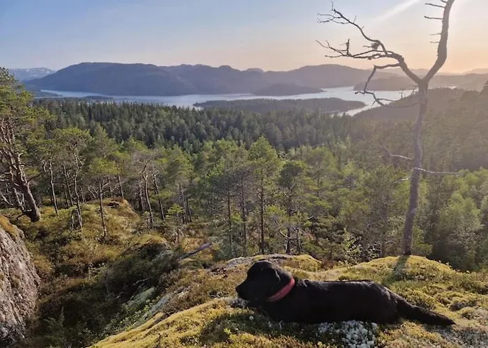 Pa Bondegard, Med Batutleie Semesterbostad