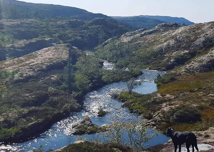 Semesterbostad Pa Bondegard, Med Batutleie Namsos