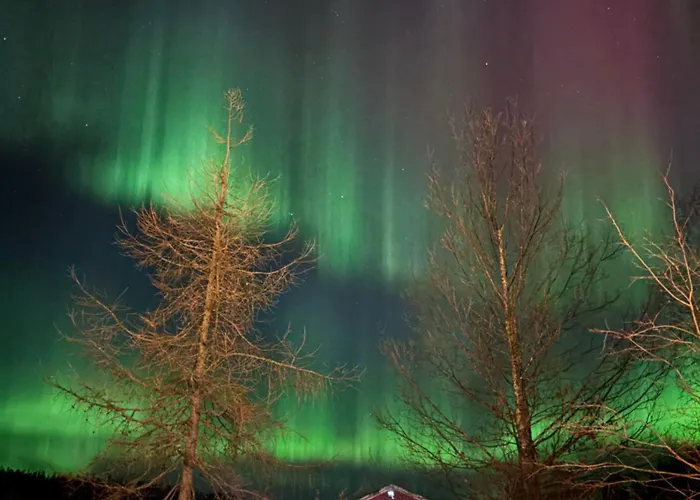 Dom wakacyjny Pa Bondegard, Med Batutleie Namsos