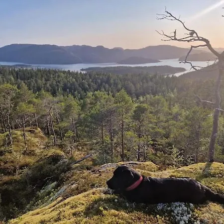 Pa Bondegard, Med Batutleie Nyaraló
